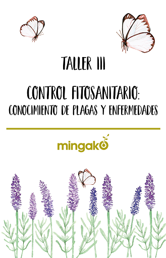 Taller III control fitosanitario